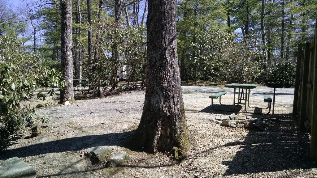 Linville Falls Campground, Rv Park, And Cabins Exterior foto